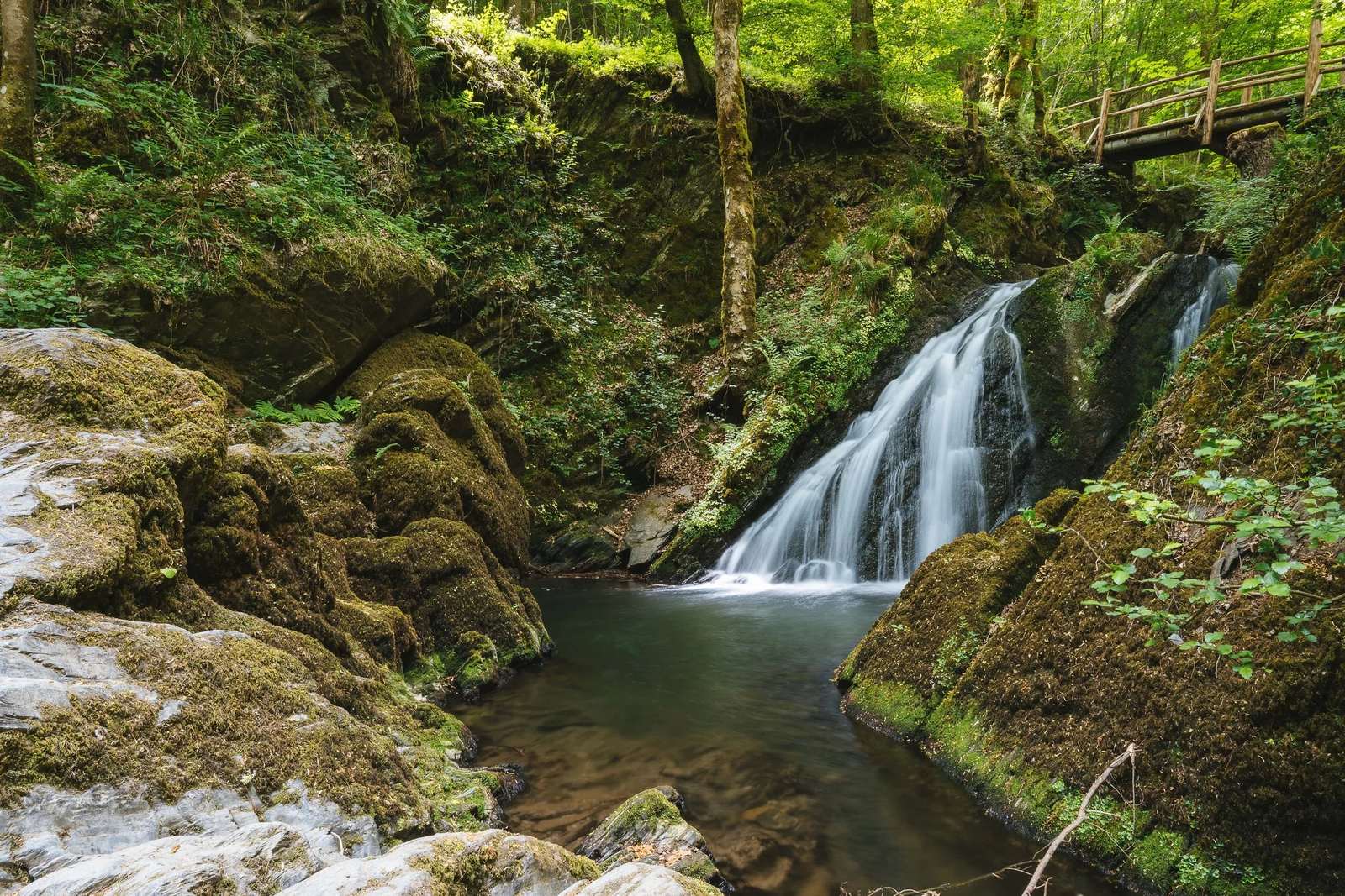Eifel-Landschaft bei Mayen — Wasserfall im Wald